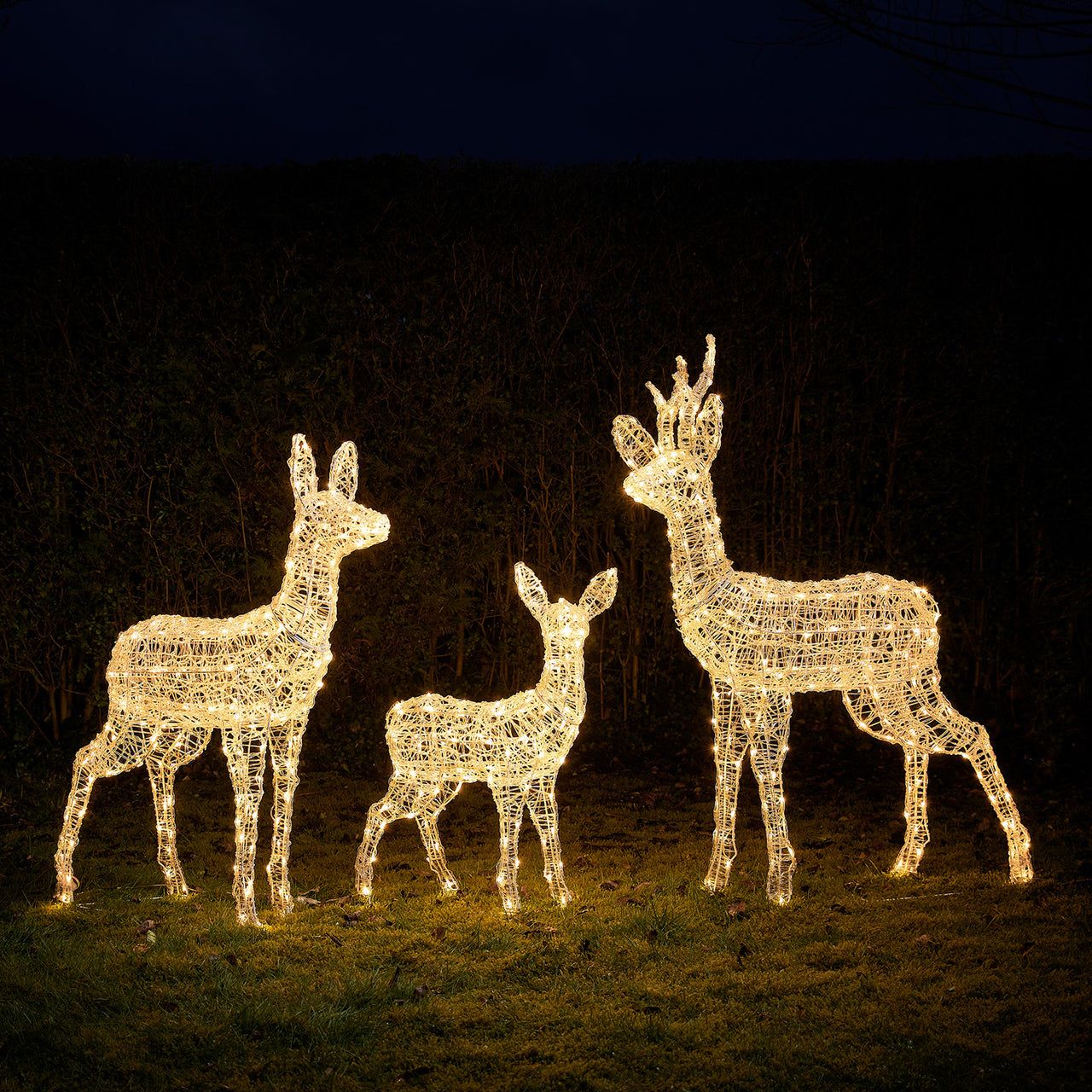 Swinsty Dual Colour LED Light Up Reindeer Family