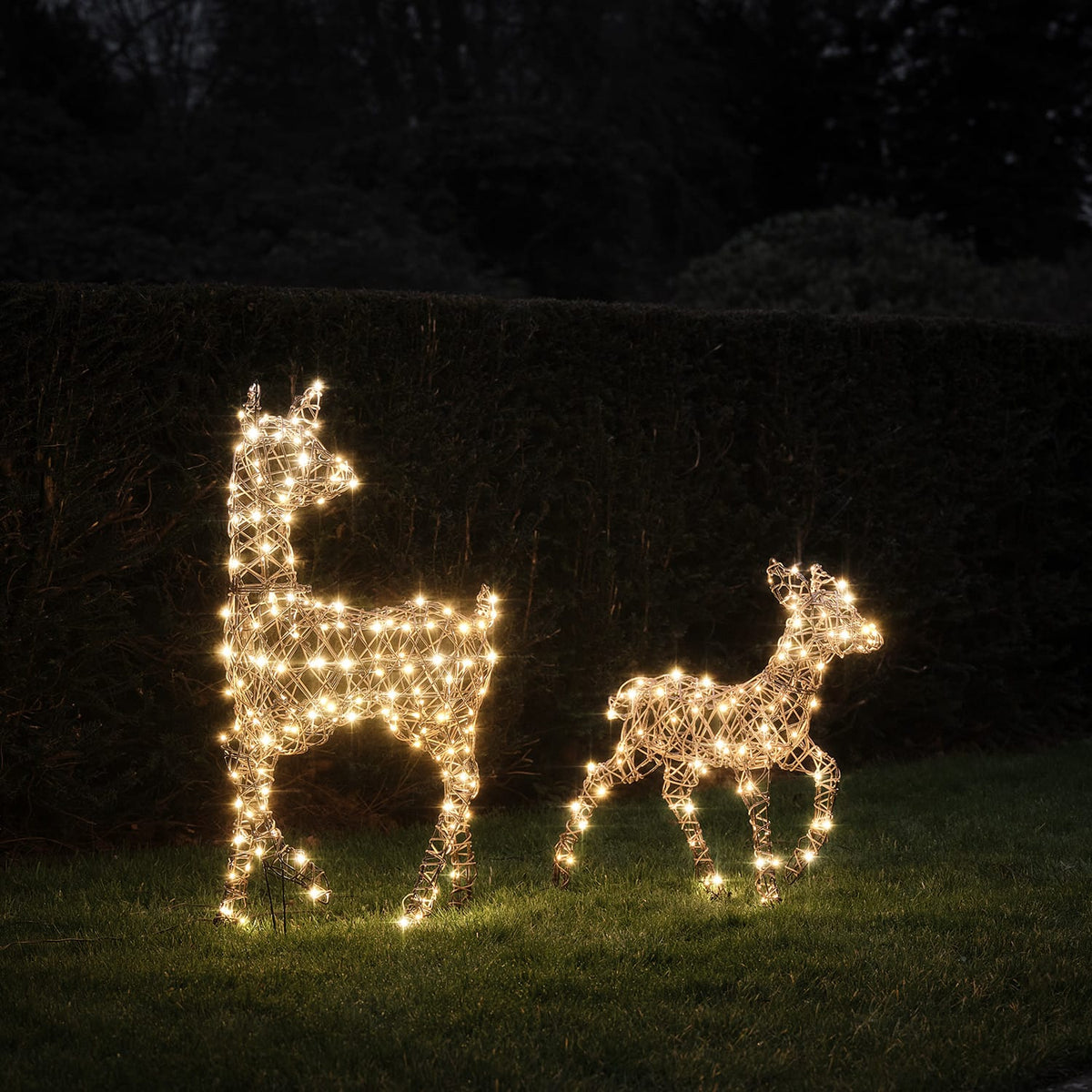 Solar Powered Dual LED Studley Doe & Fawn Light Up Reindeer Duo