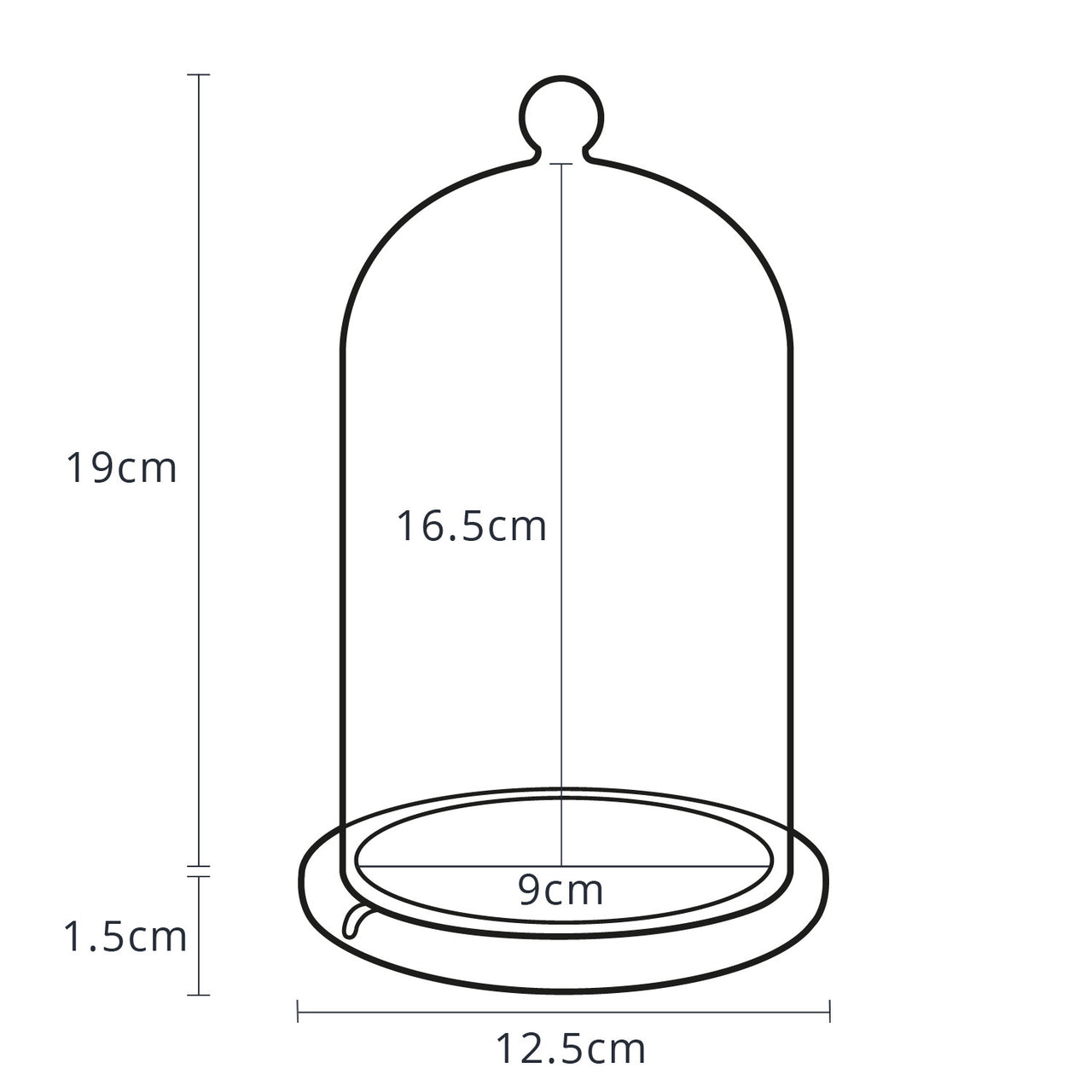 Regular Glass Dome Bell Jar 20Cm