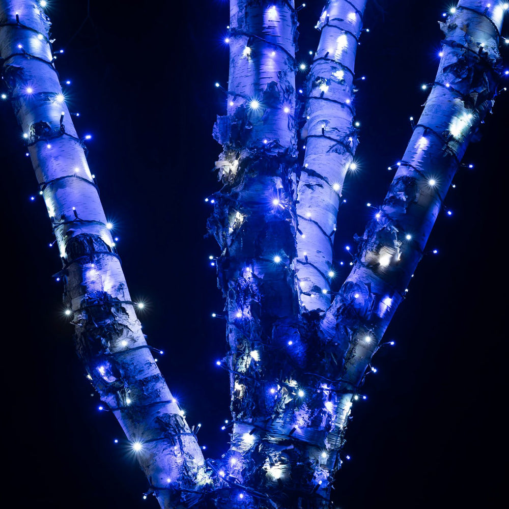 50m 500 Blue & White LED Connectable String Lights Black Cable Pro Series