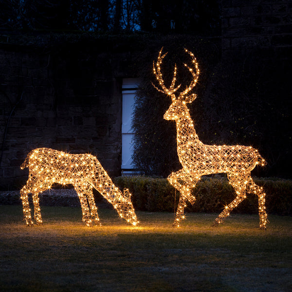 Large Studley Rattan Light Up Reindeer Family 24v