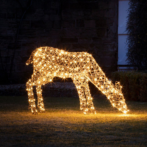 Large Studley Rattan Light Up Reindeer Family 24v