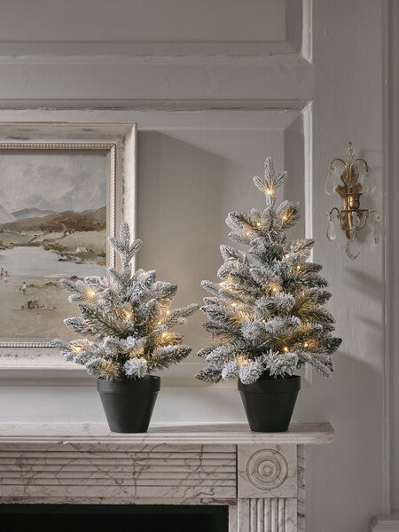 Christmas Tree | Lights4Fun 23.09.18