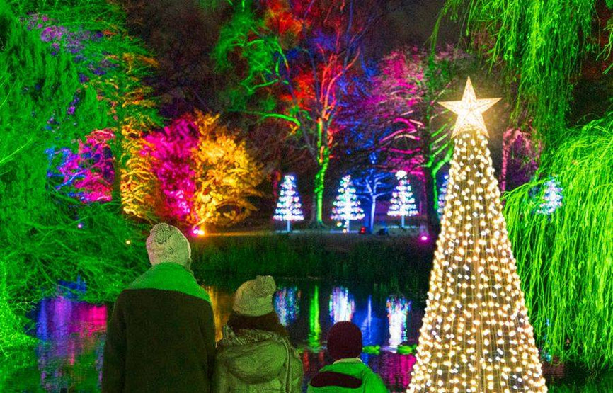 Our 5 Favourite Light Displays This Year