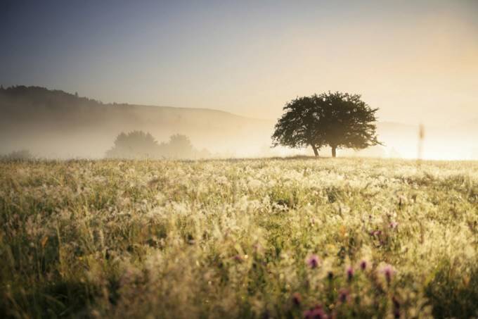 LEDs, Solar Lights and Earth Day 2013: How We're Doing Our Bit For The Environment