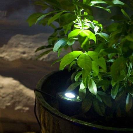 The Real Truth About Solar Lights