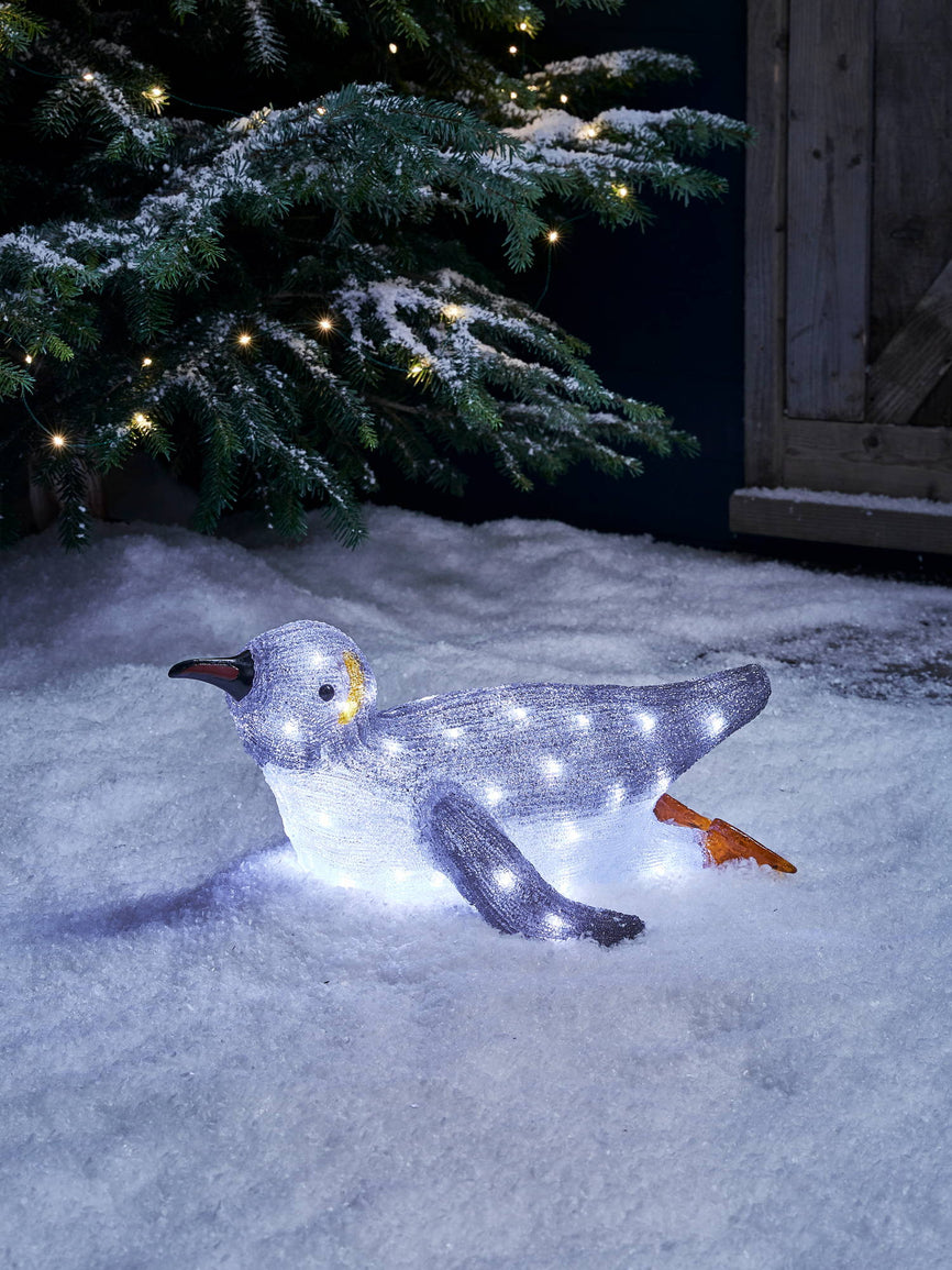 Achieve The Ultimate Festive Garden Look