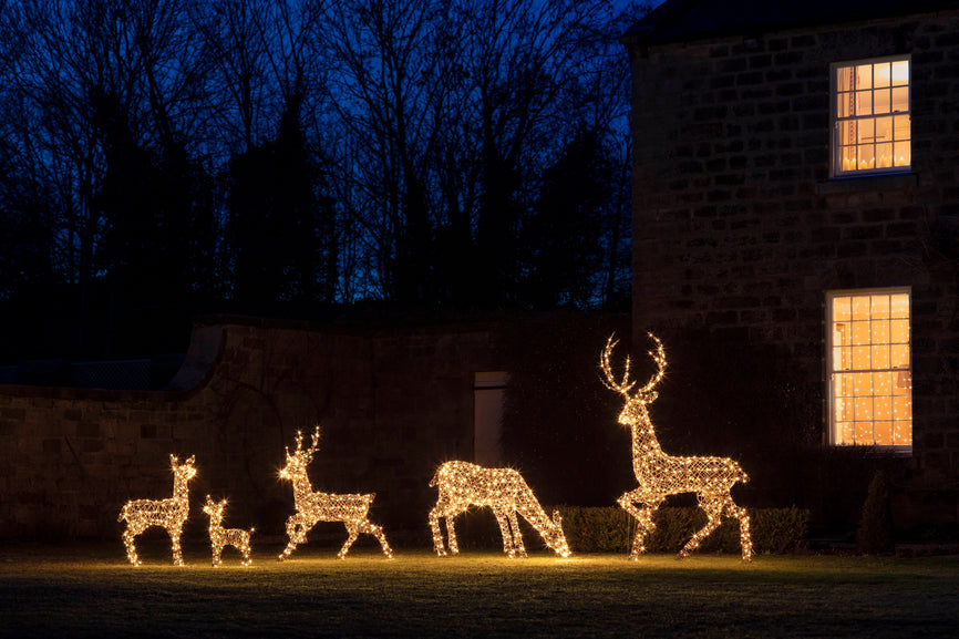 Showstoppers of the Season!