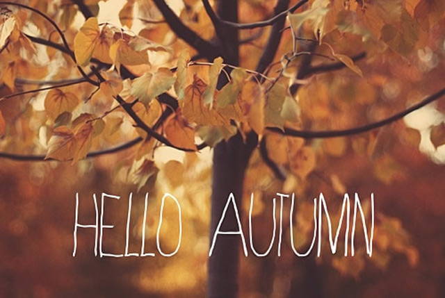 Friday Faves #1 - Hello Autumn