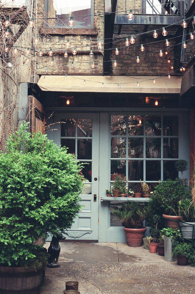 5 Quick Wins For A Spring Garden