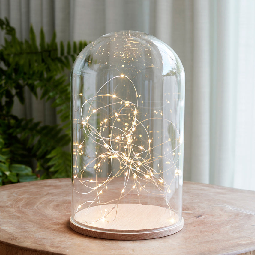Glass Dome Duo