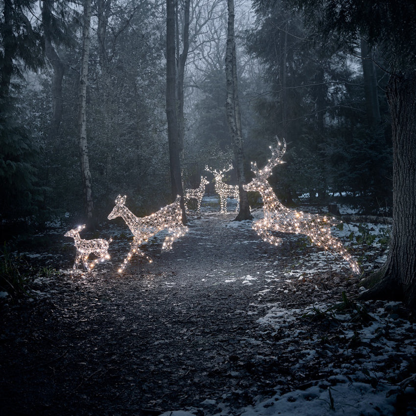 Light up Christmas Reindeer 