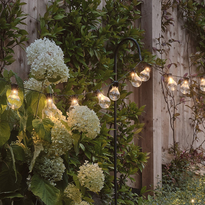 Festoon Lights