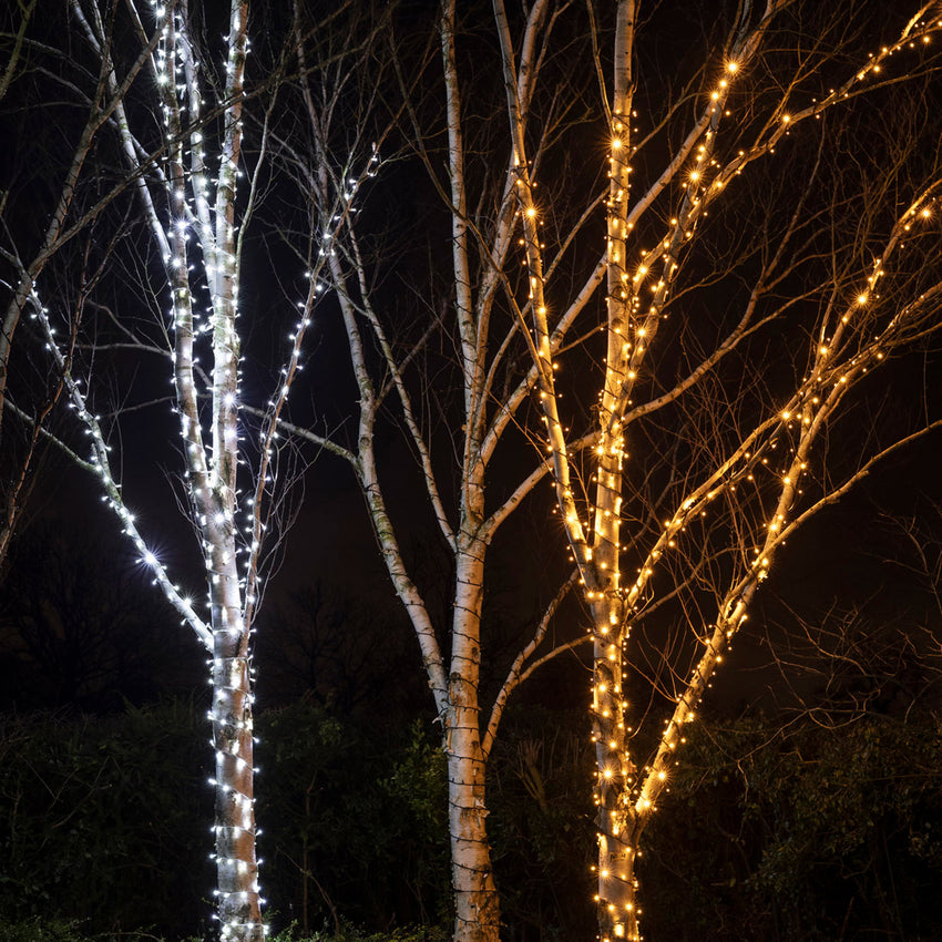 Outdoor string lights wrapped around 3 tree trunks