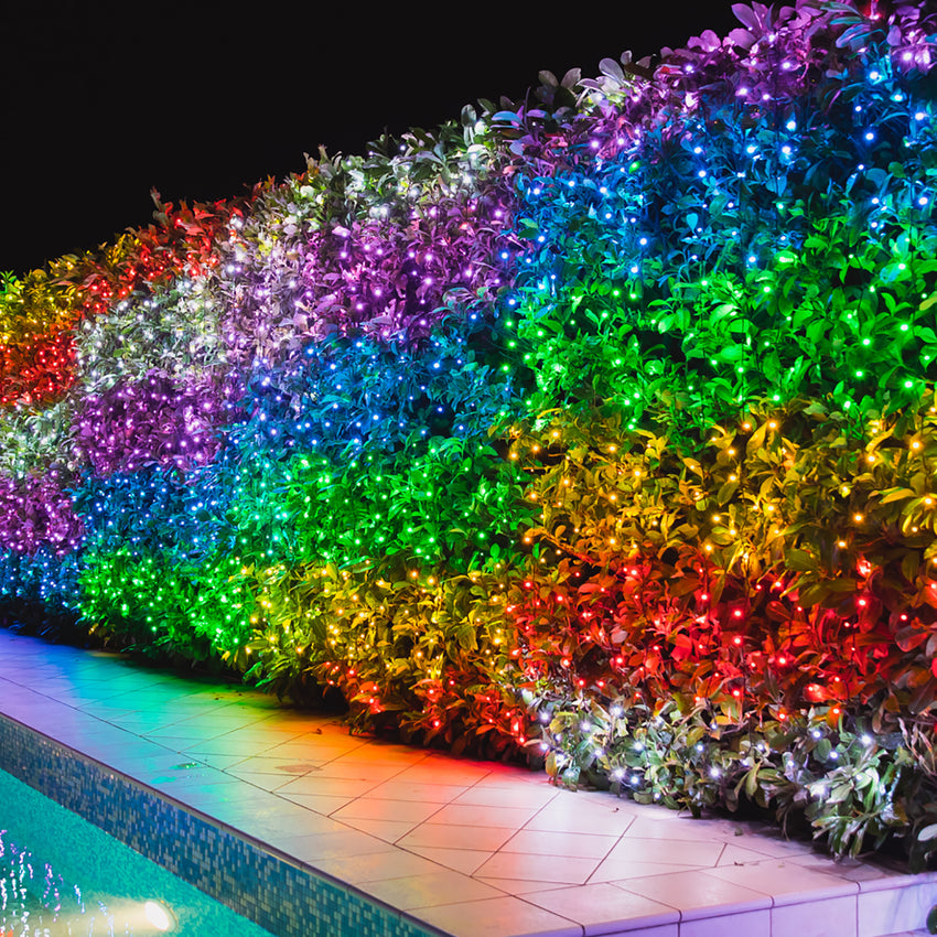 Smart Lights