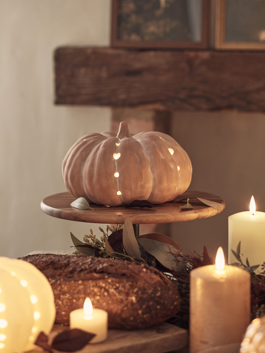 Harvest Pumpkin Lights & Decorations