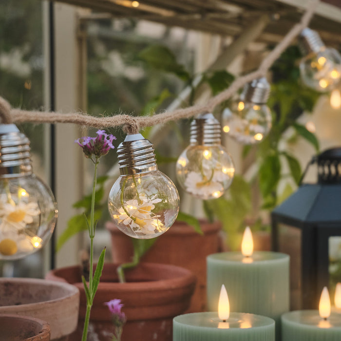 Daisy festoon lights hanging in a greenhouse