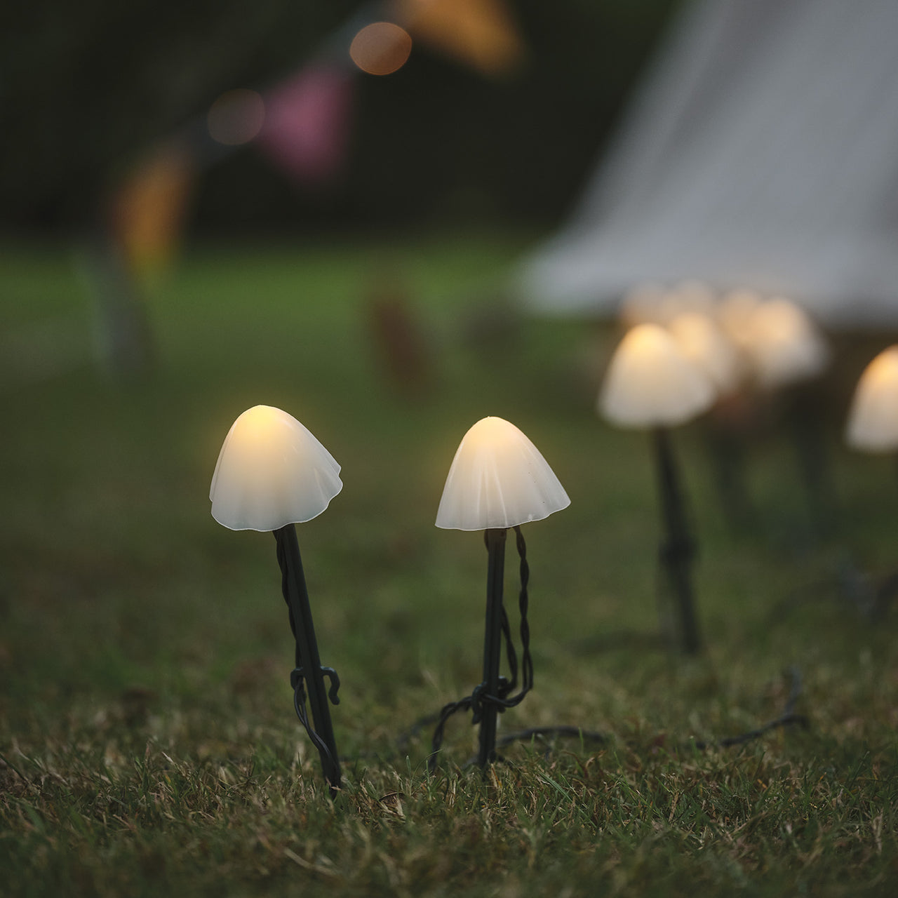 Mini mushroom solar stake lights