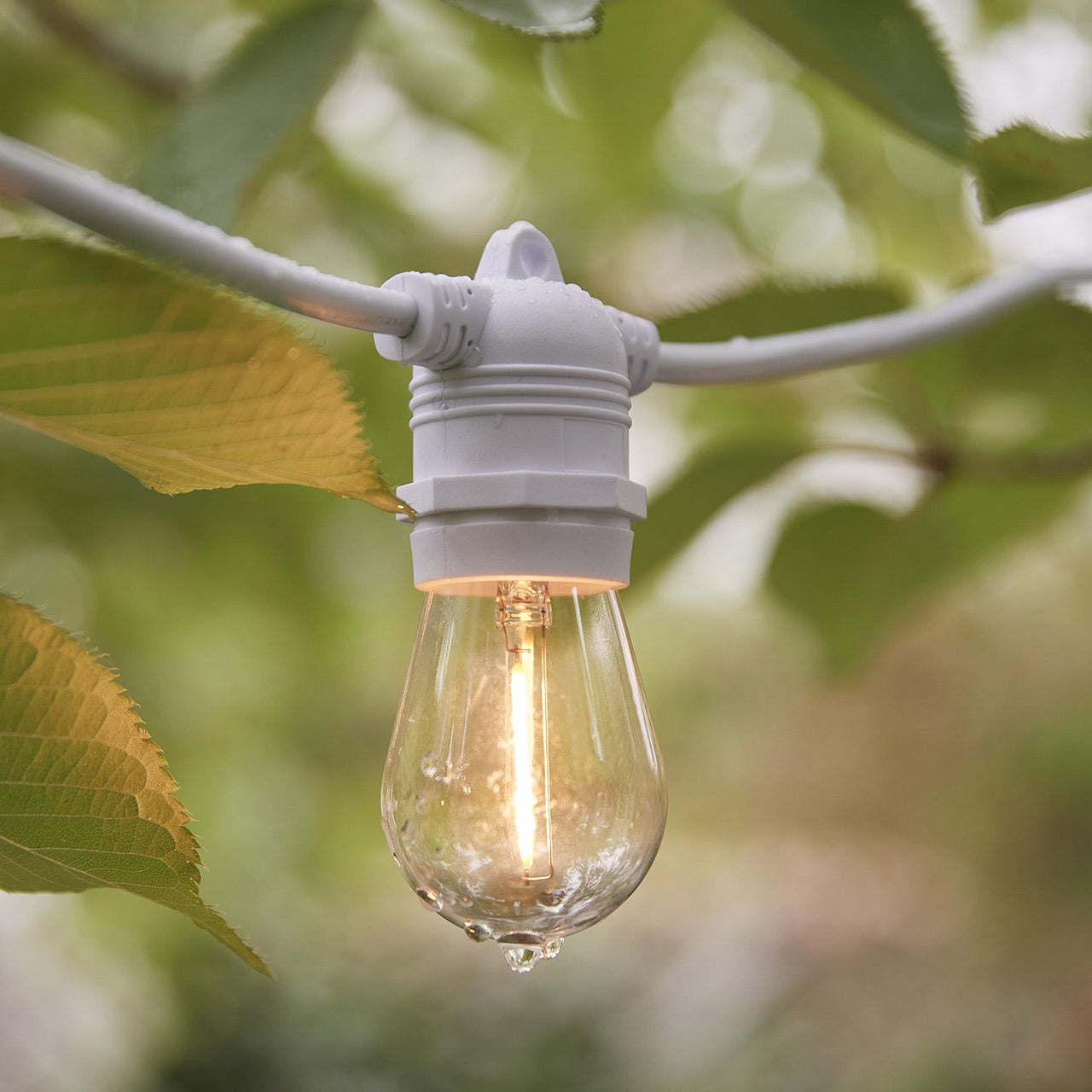 Ultimate Connect 40m 80 Warm White Festoon Lights White Cable