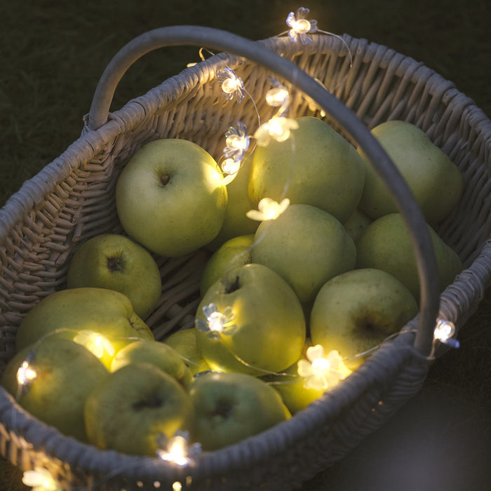 Blue flower fairy lights wrapped around a basket of apples