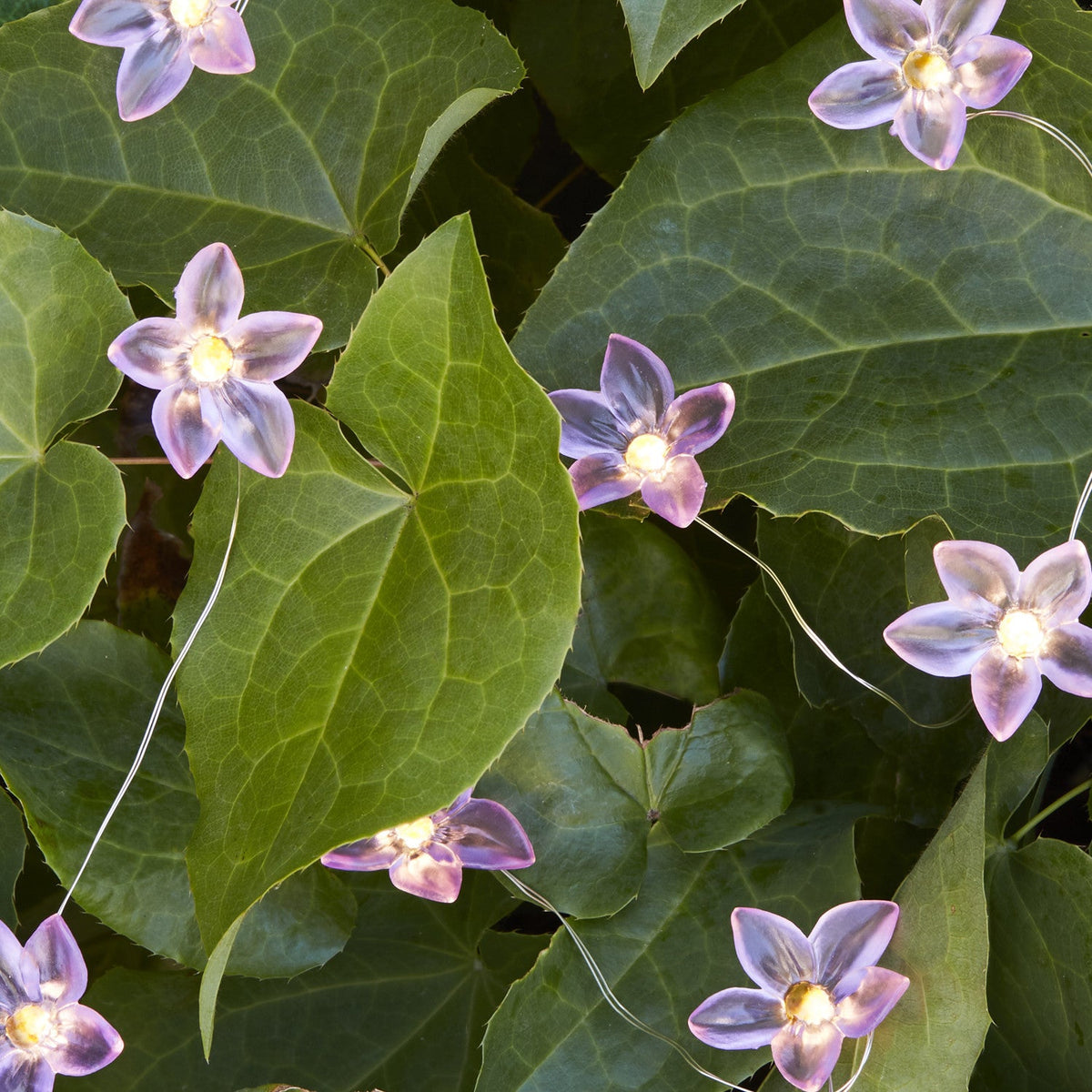 20 Flower Outdoor Micro Fairy Lights