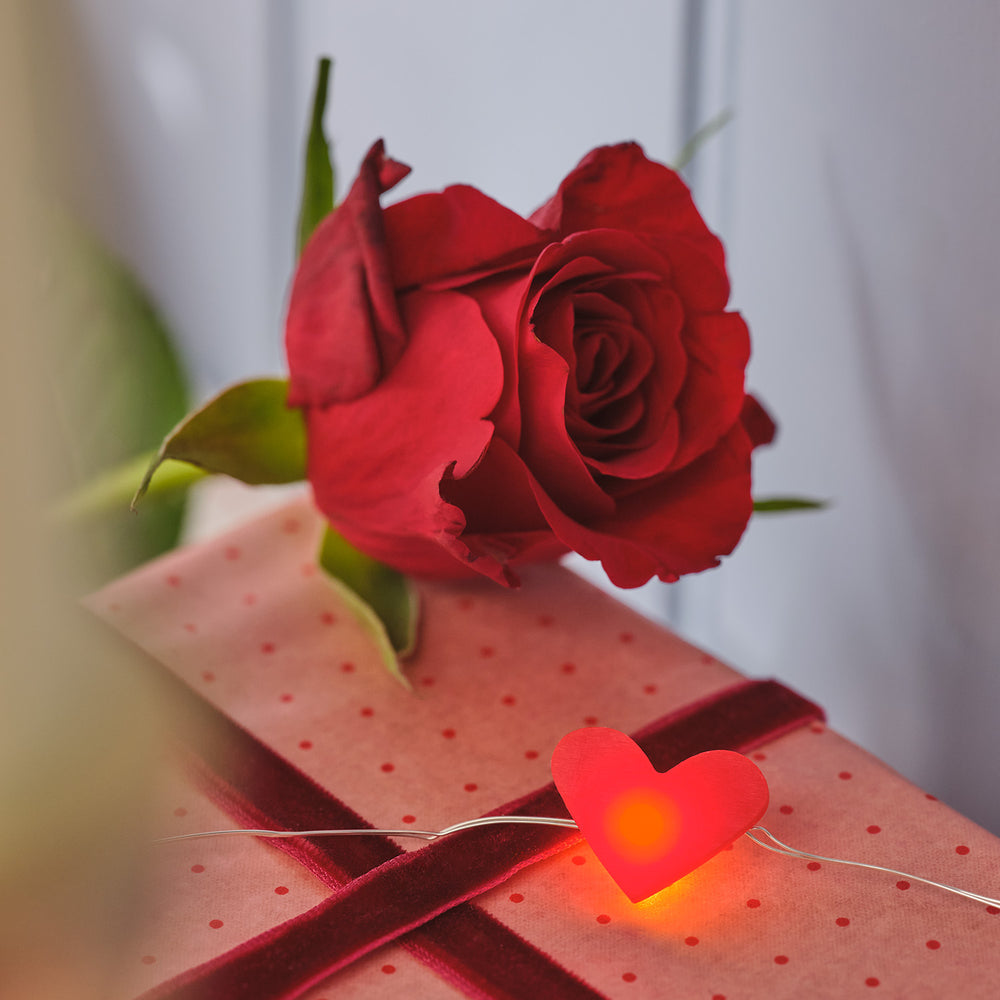 20 Heart Micro Fairy Lights