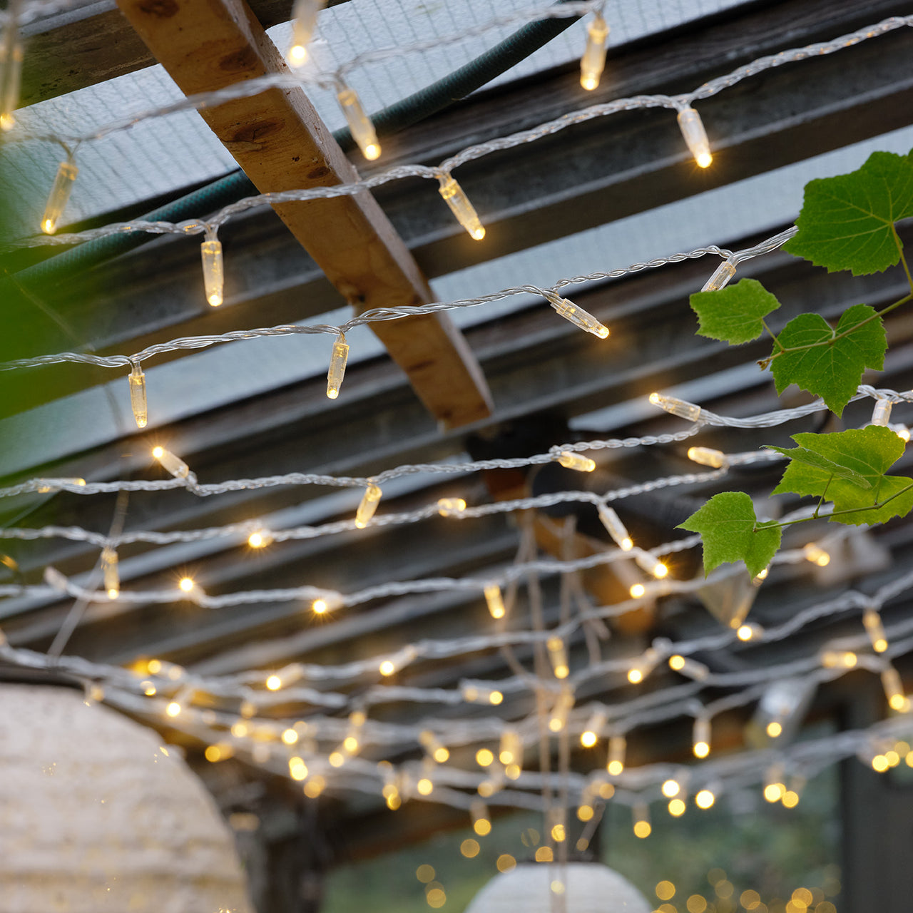 Curtain lights hung on the greenhouse roof