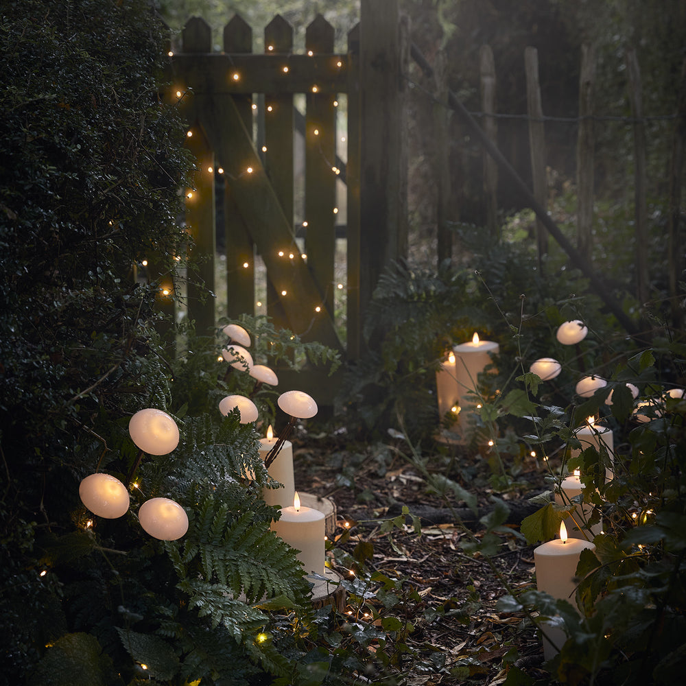 Enchanted Garden Lighting Bundle