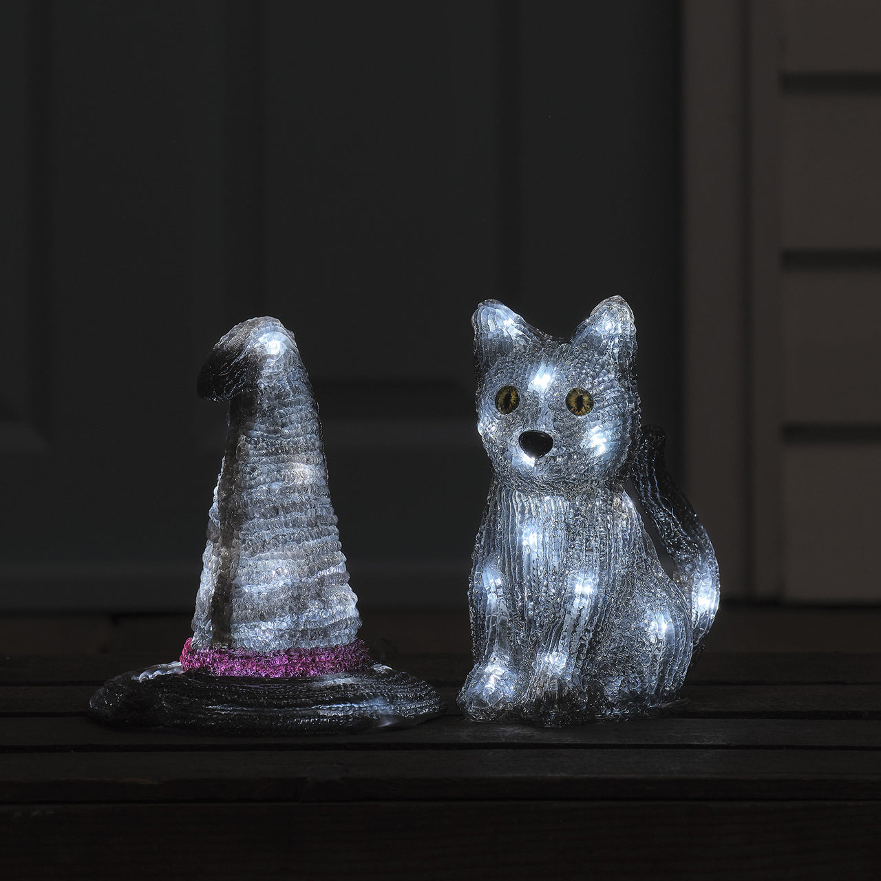 Witches Hat & Jet the Black Cat LED 3D Acrylic Figures