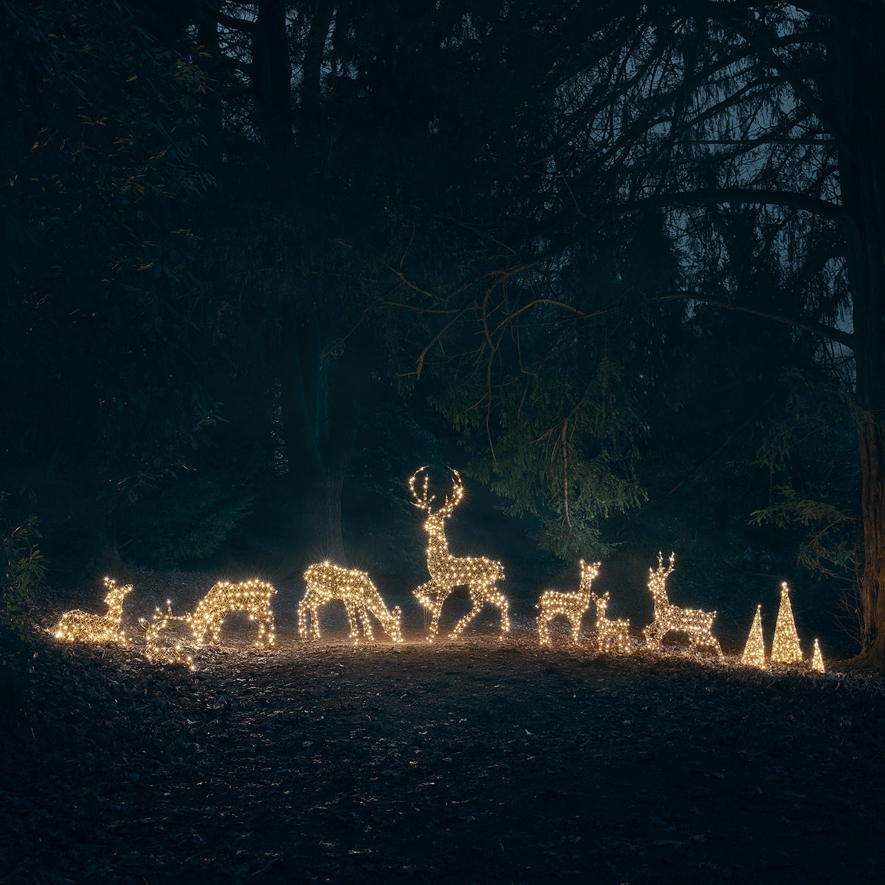 Studley Rattan Resting Light Up Reindeer Family 24v