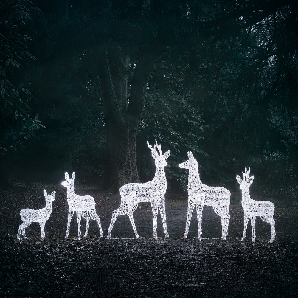 Set of 5 Swinsty Dual Colour LED Light Up Reindeer