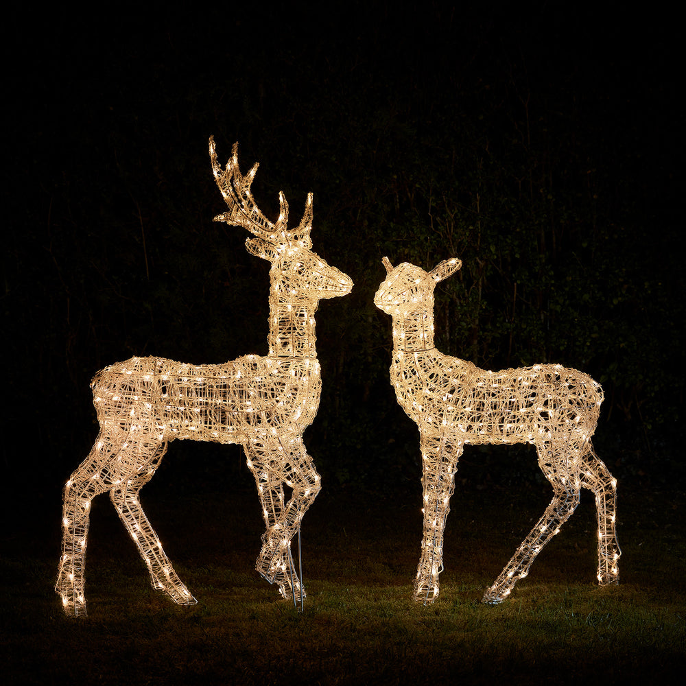 Twinkly Stag and Doe