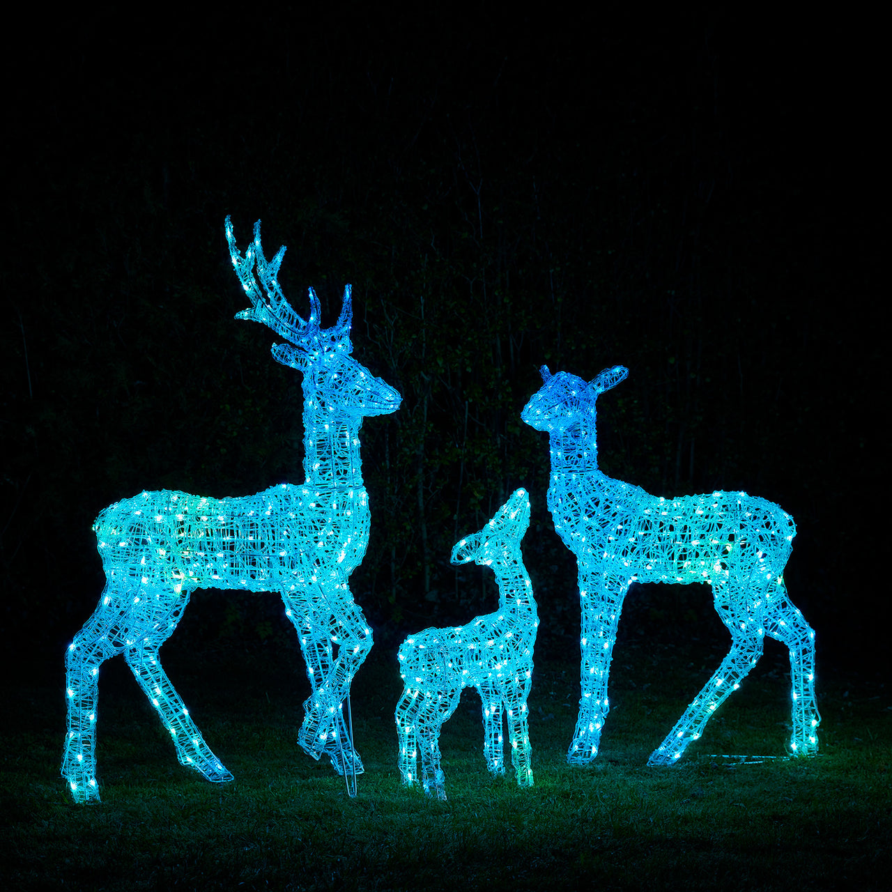 Twinkly Smart Light Up Reindeer Family