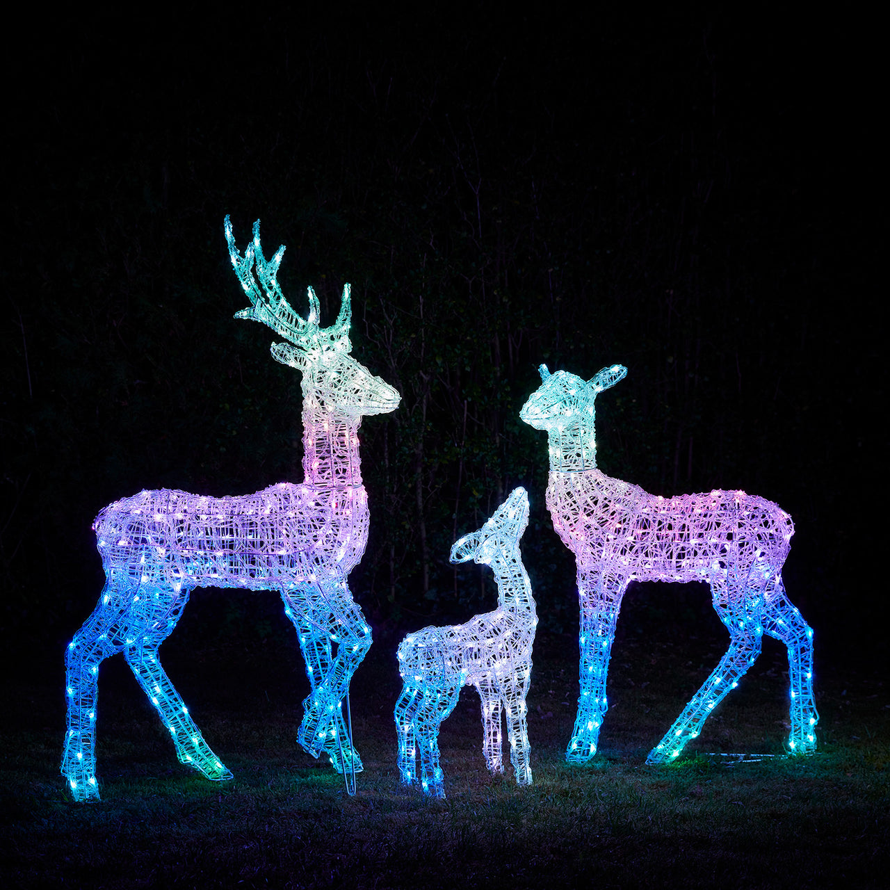 Twinkly Smart Light Up Reindeer Family