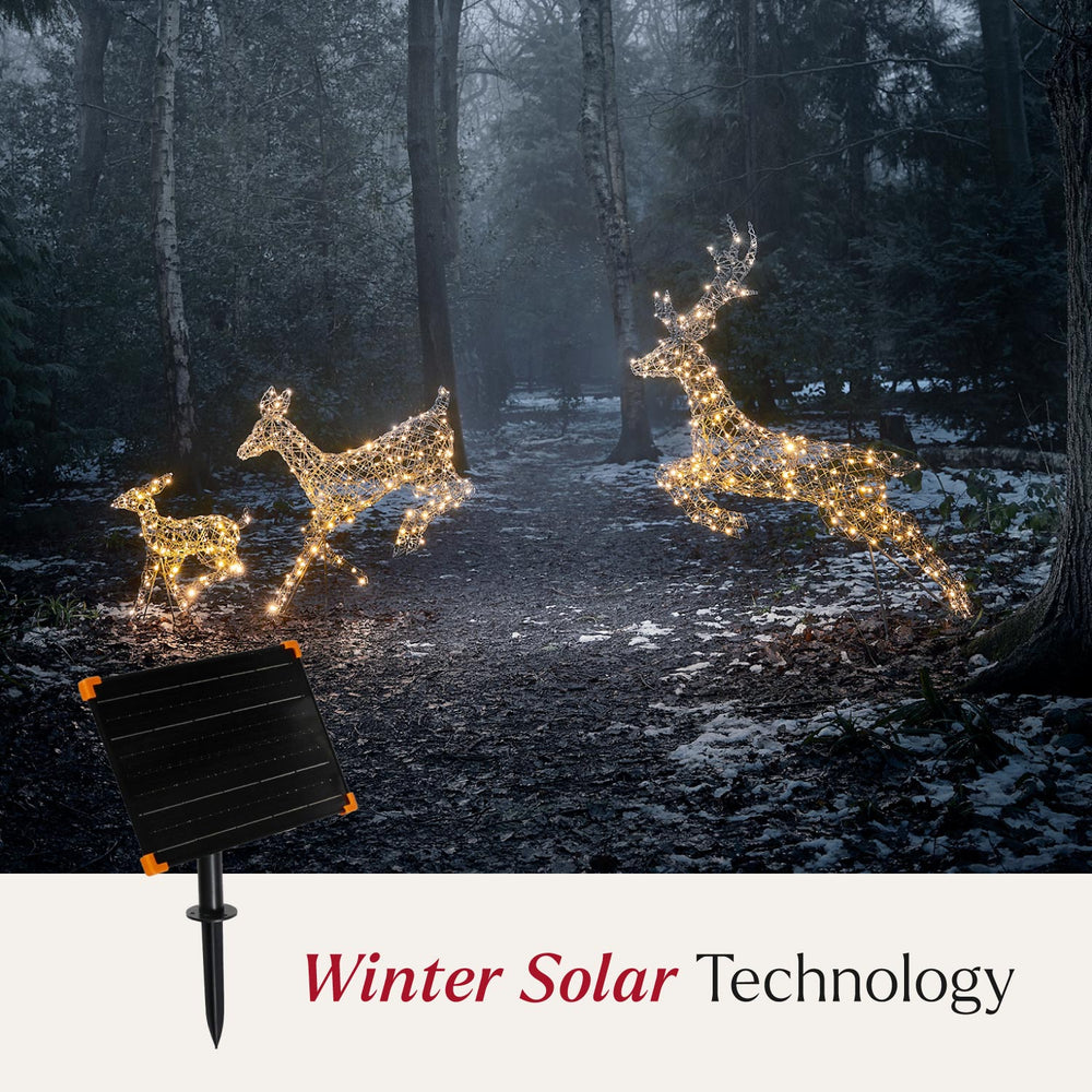 Solar Powered Regular Harlow Rattan Dual Colour LED Light Up Reindeer Family