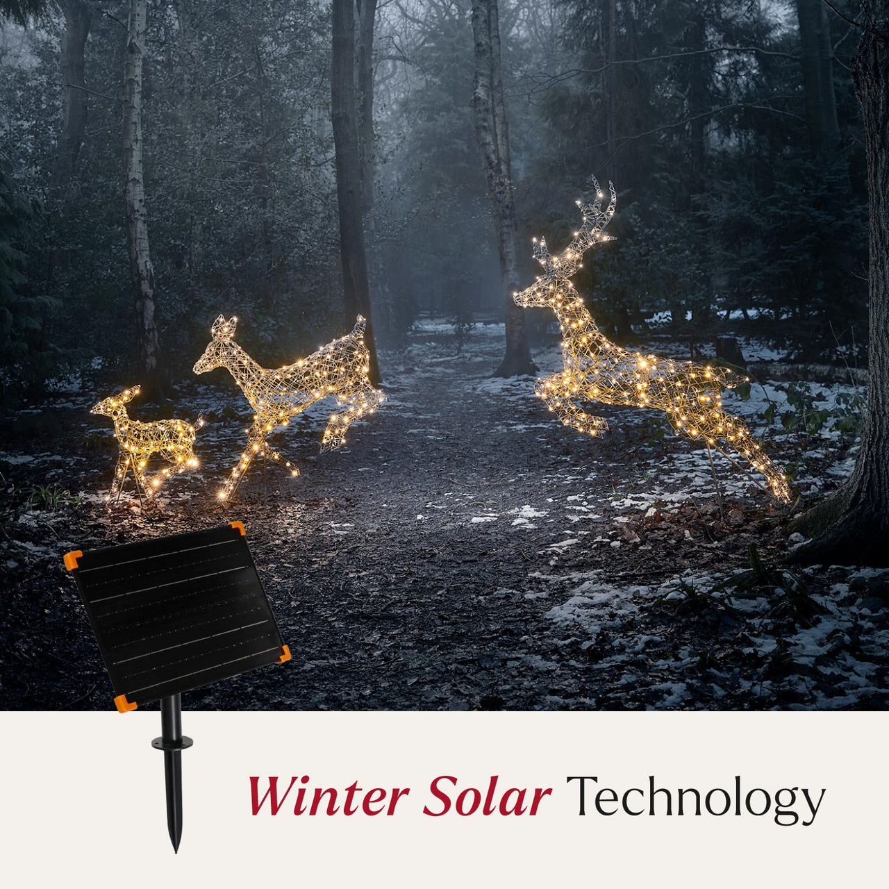 Solar Powered Regular Harlow Rattan Dual Colour LED Light Up Reindeer Family