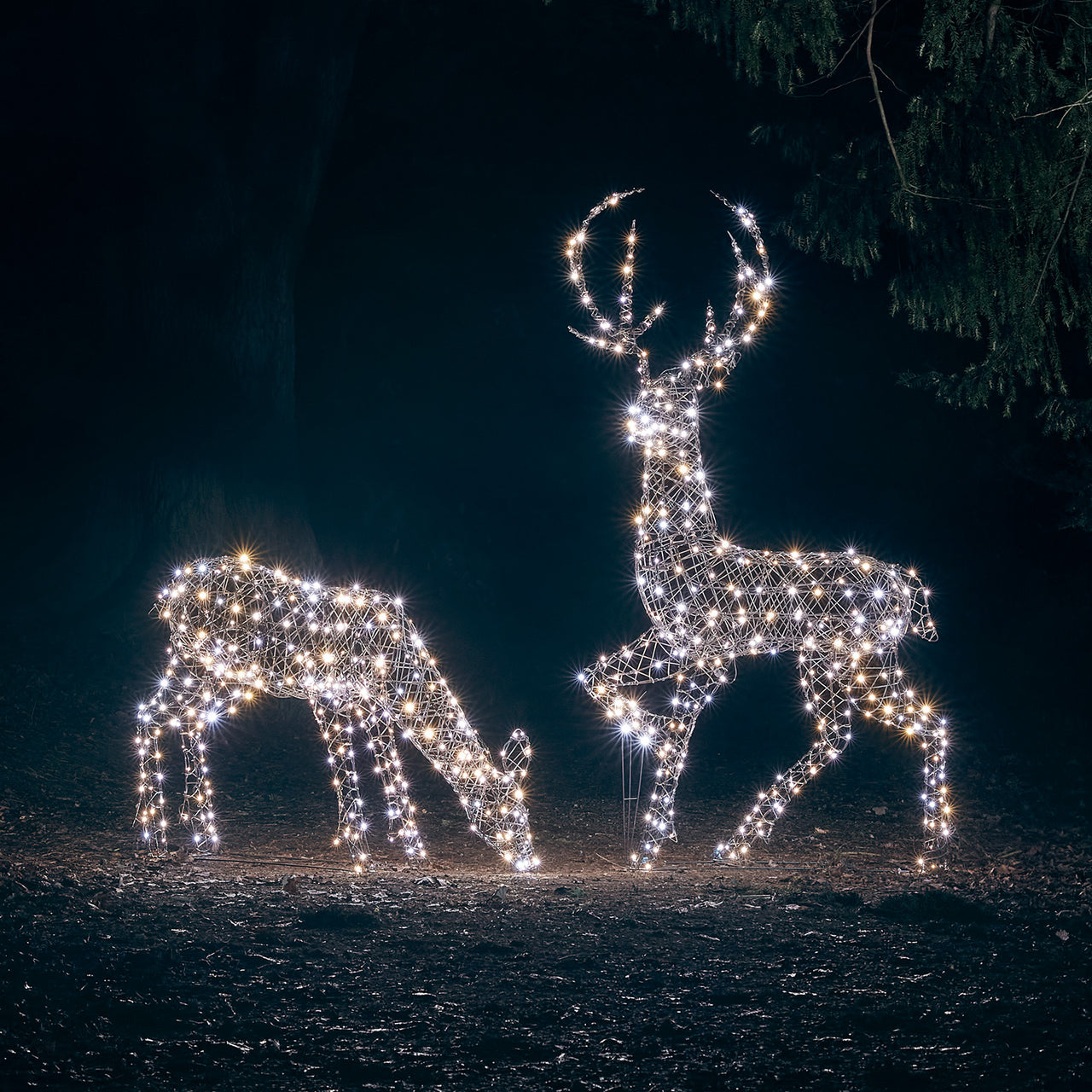 1m Studley Rattan Doe Dual Colour LED Light Up Reindeer