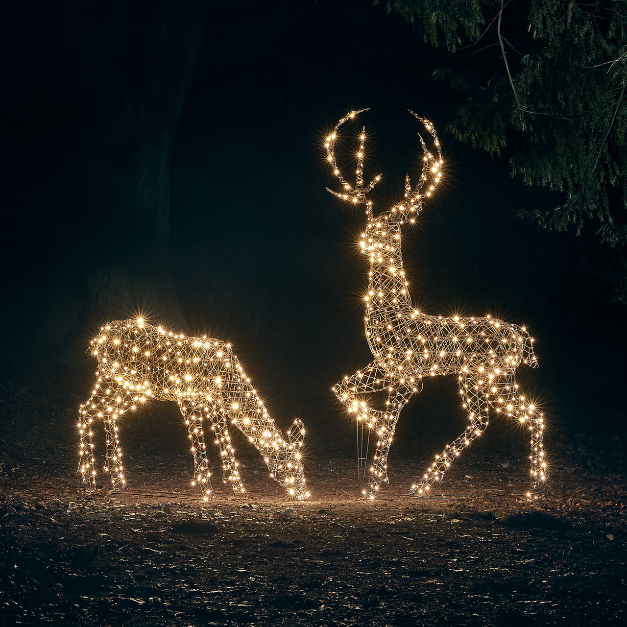 2m Studley Rattan Stag Dual Colour LED Light Up Reindeer