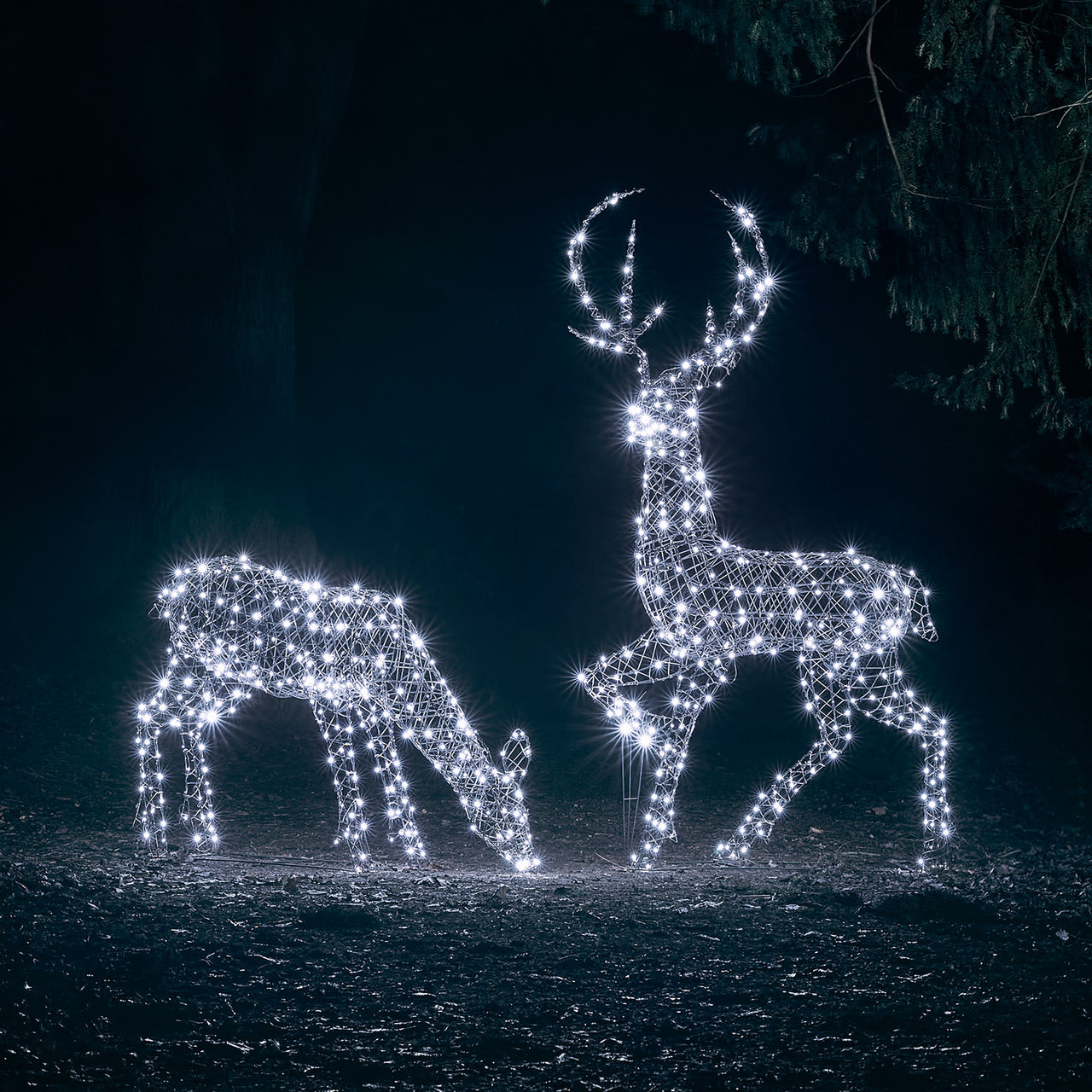 1m Studley Rattan Doe Dual Colour LED Light Up Reindeer
