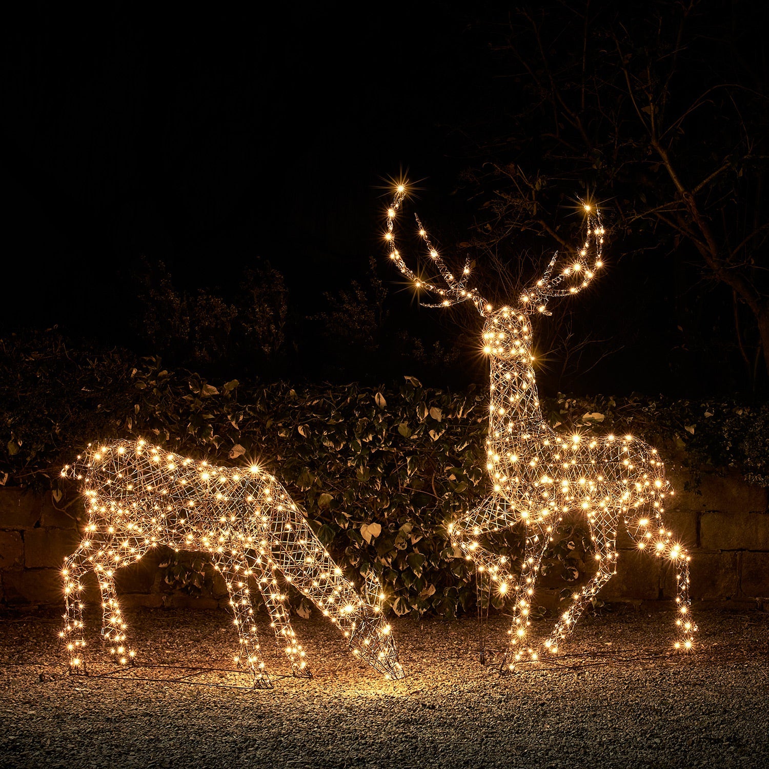 2m Large Studley Rattan Stag & Doe Dual Colour LED Light Up Reindeer Duo UK