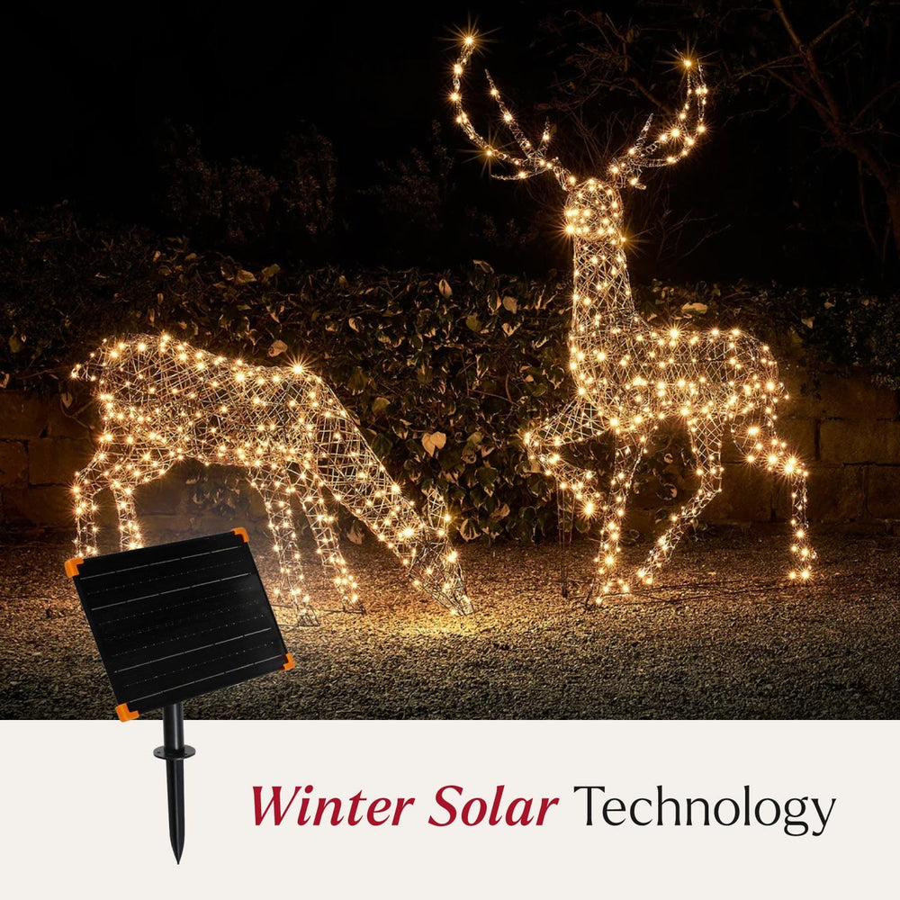 Large Solar Powered Studley Rattan Stag & Doe Dual Colour LED Light Up Reindeer