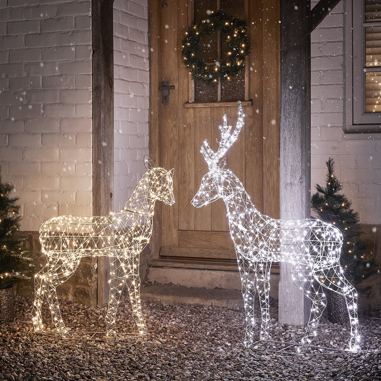 Duchy Stag & Doe Dual Colour Micro LED Light Up Reindeer