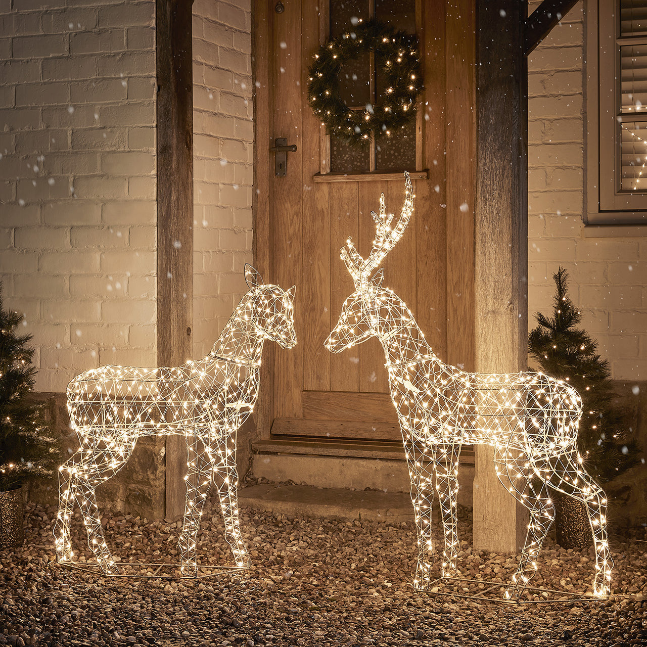 Duchy Stag & Doe Dual Colour Micro LED Light Up Reindeer