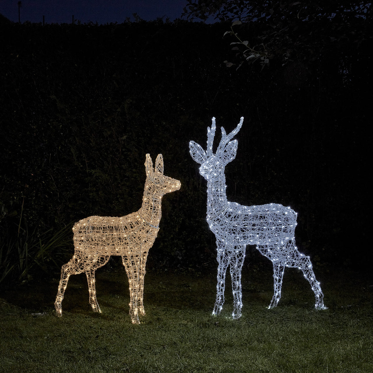 Swinsty Battery Operated Stag & Doe