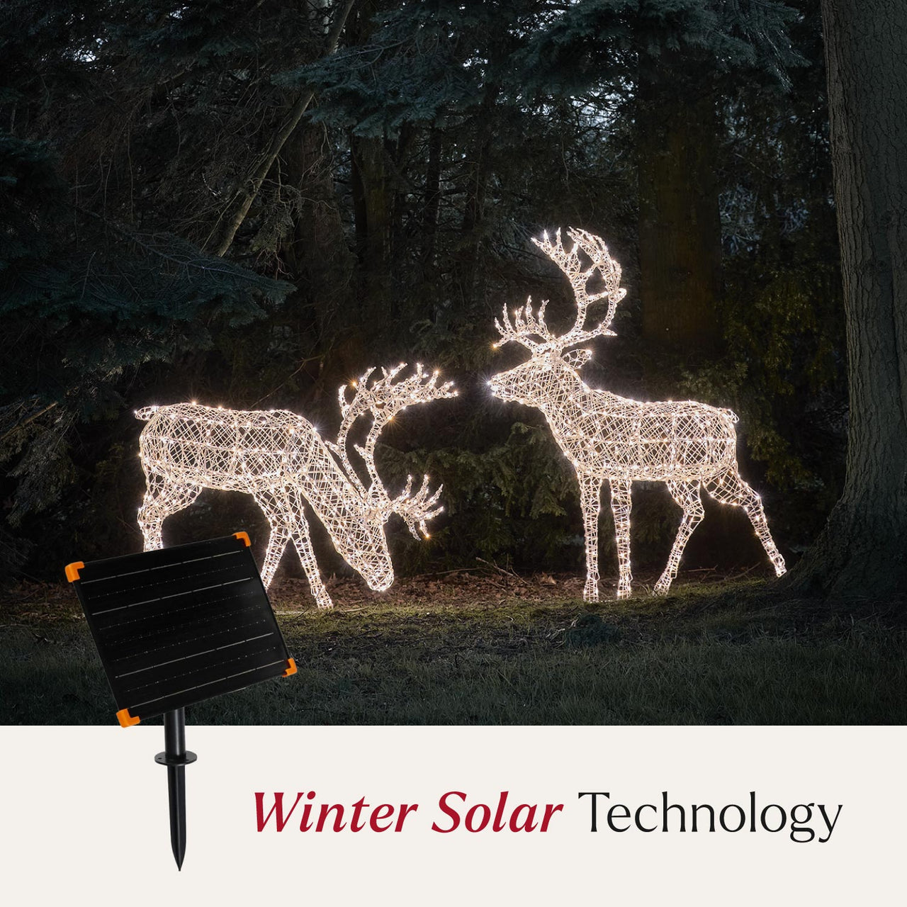1.8m XL Solar Powered Arkendale Reindeer
