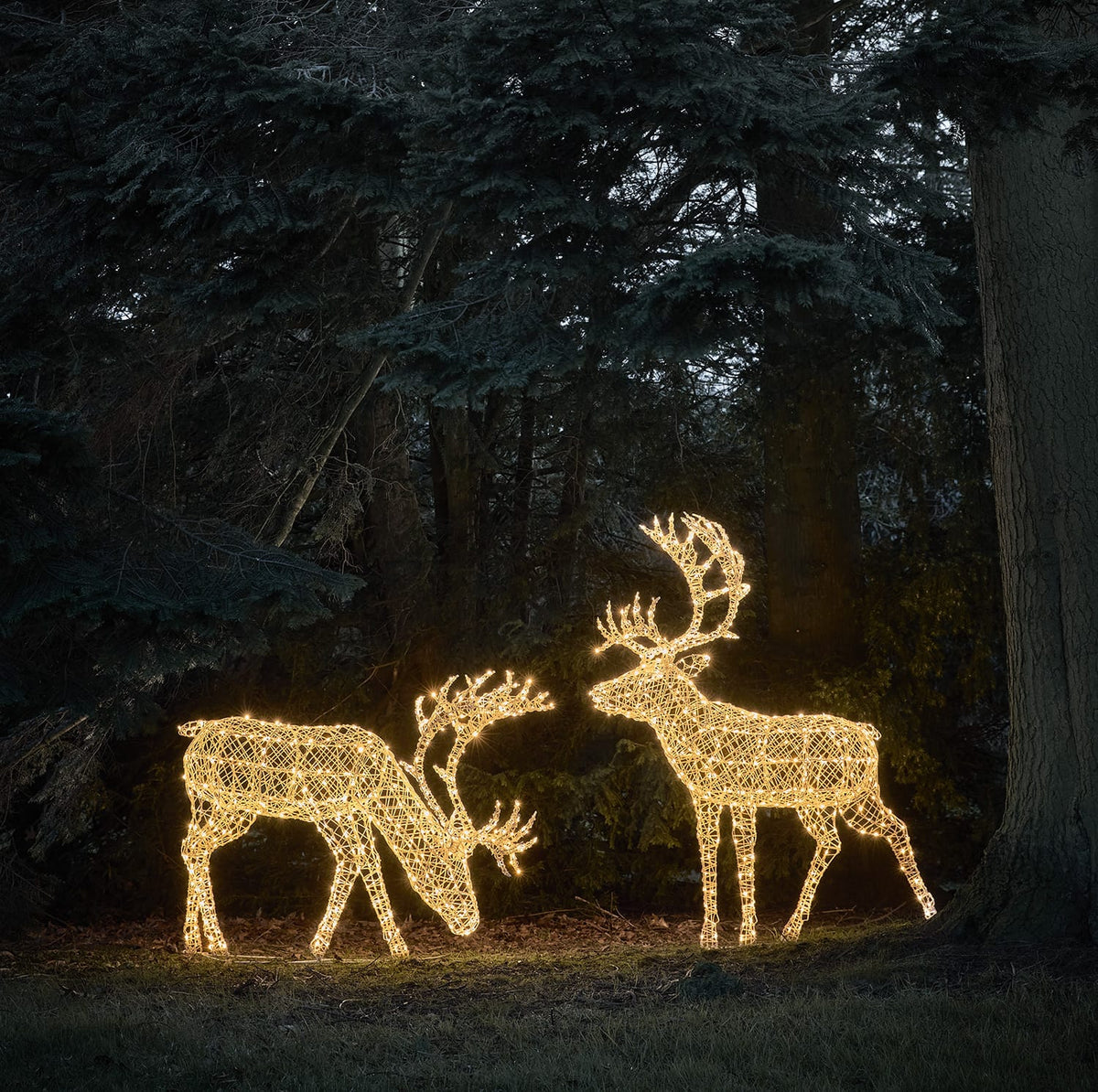 Solar Powered 1.8m XL Arkendale Stag LED Light Up Reindeer Duo