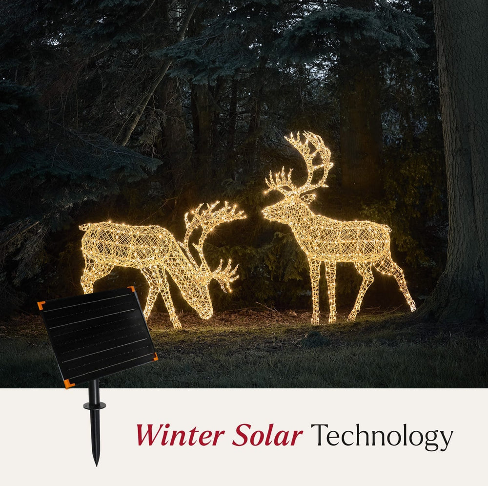 Solar Powered 1.8m XL Arkendale Stag LED Light Up Reindeer Duo