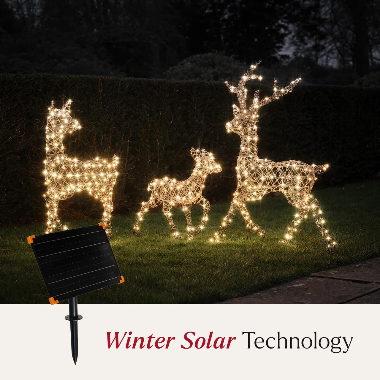 Solar Powered Studley Dual Colour LED Studley Light Up Reindeer Family