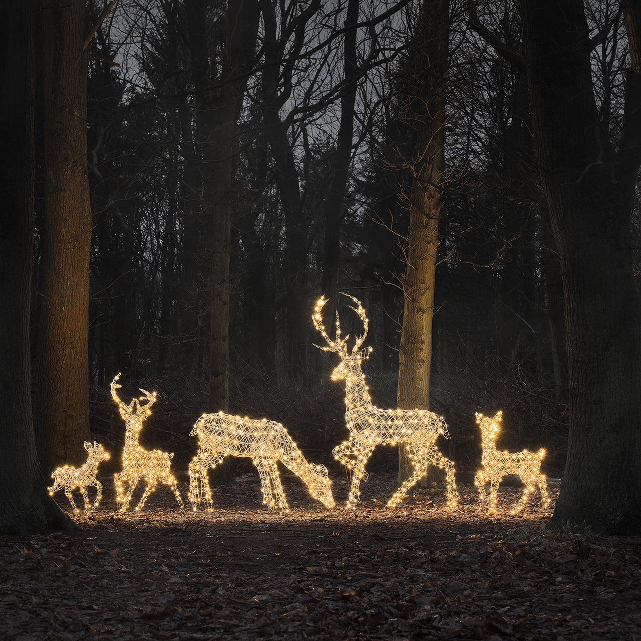 Dual LED Studley XL Light Up Reindeer Family