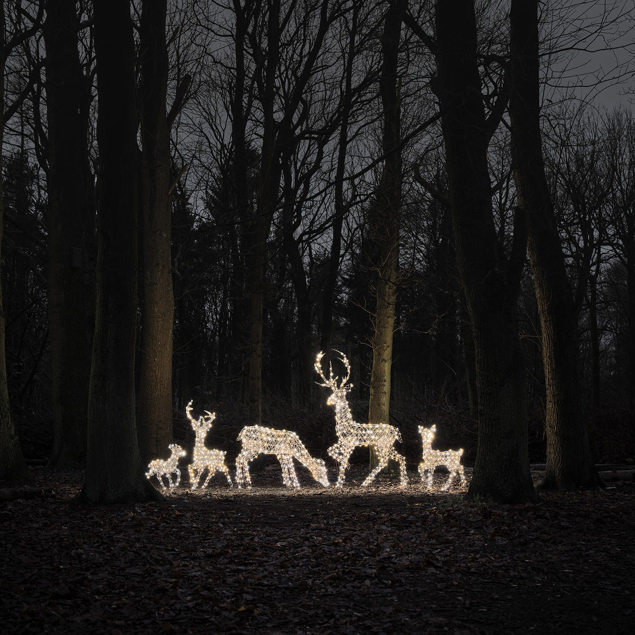 Dual LED Studley Light Up Reindeer Family